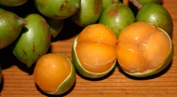 Esta fruta ha demostrado ser más efectiva que muchas para curar el cáncer y otras enfermedades