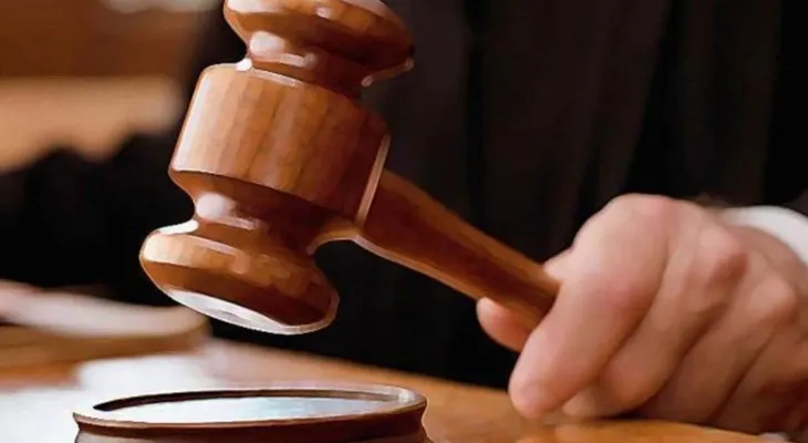 Condenarían a 25 años, dominicana Sonia Jourdain, por haber robado más de 50,000 dólares en ayudas en EE.UU
