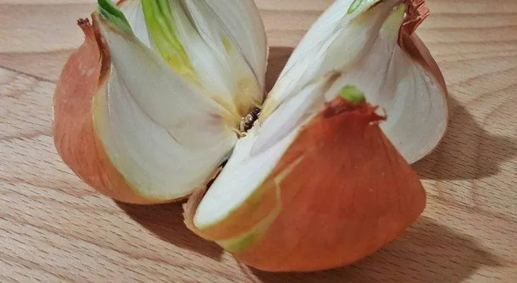 Corta una cebolla en 4 pedazos y colócalo en tu hogar. ¿La razón? ¡Brillante! 