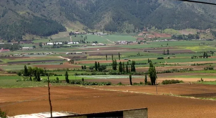 Imponen prisión preventiva contra dos hombres por delitos ambientales en Constanza
