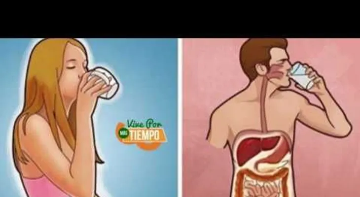 10 razones para tomar agua caliente con el estómago vacío