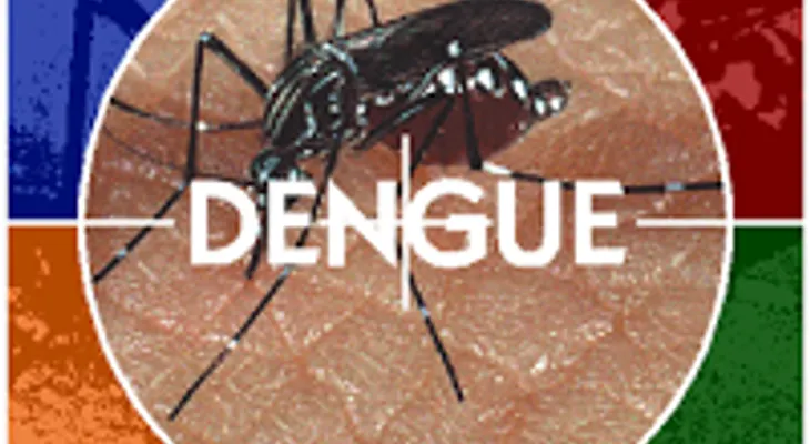 Salud Pública inicia jornada contra el dengue