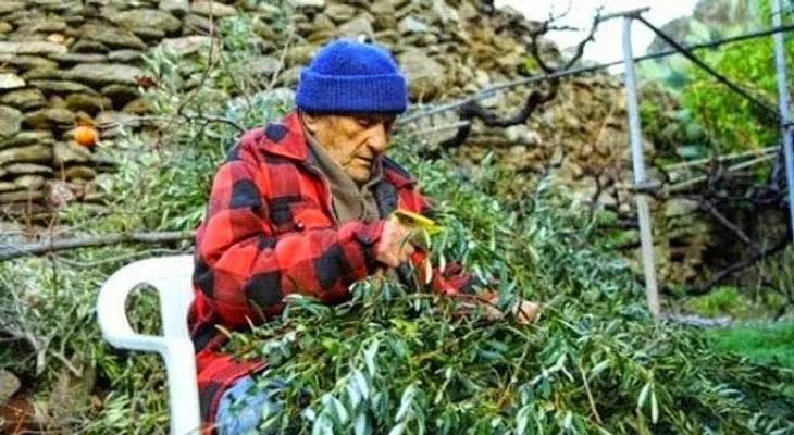 No quiso ir quimioterapia y vivió 102 años