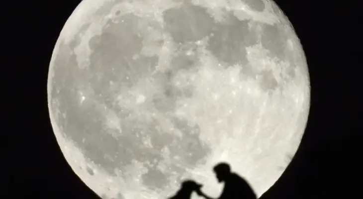 Eclipse lunar parcial cubrirá el 96% de la Luna este jueves