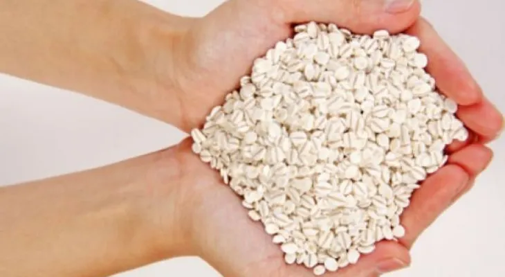 Recurre a la avena para mejorar la apariencia de tu piel