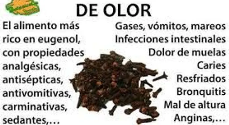 El clavo dulce te ayuda a eliminar todos estos problemas de salud: Por qué no lo habían dicho antes 