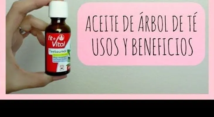 Conoce los beneficios del aceite de árbol de té 