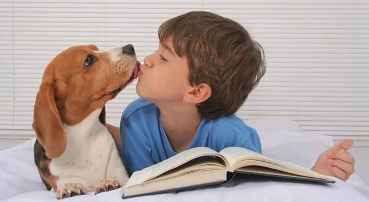 Ojo: Un parásito del perro puede dejar ciegos a los niños