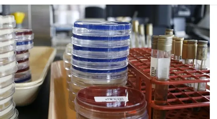 Nueva forma de eliminar bacterias resistentes a antibióticos