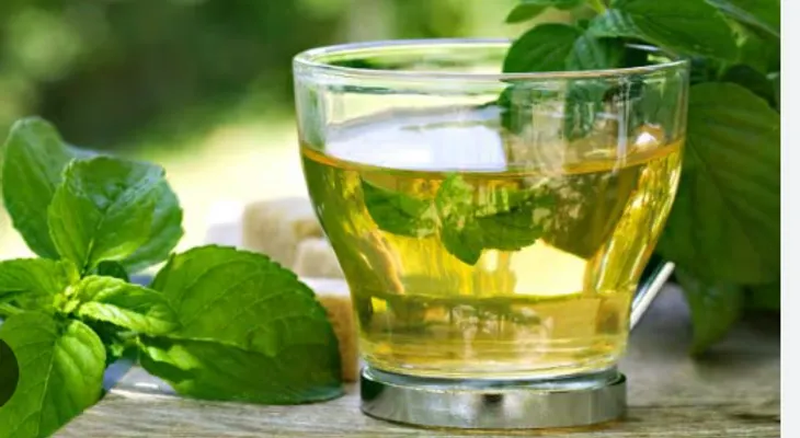 El té de orégano, aliado del estómago