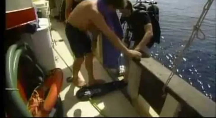 Triángulo de las Bermudas: Secretos Asombrosos (VIDEO)