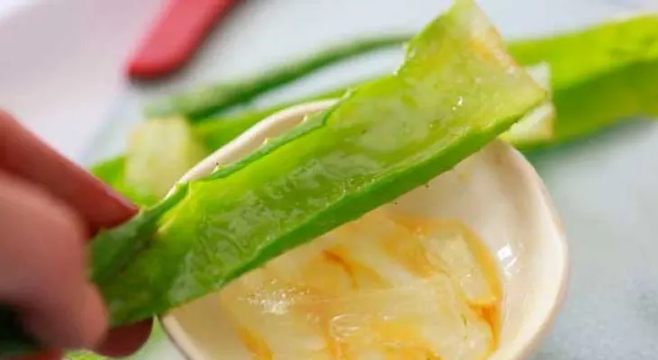 Cómo perder peso con el aloe vera y la piña (Recetas)