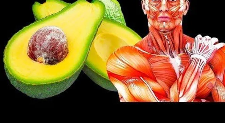 Genial: Si come un aguacate todos los días,¿qué pasará con tu cuerpo?