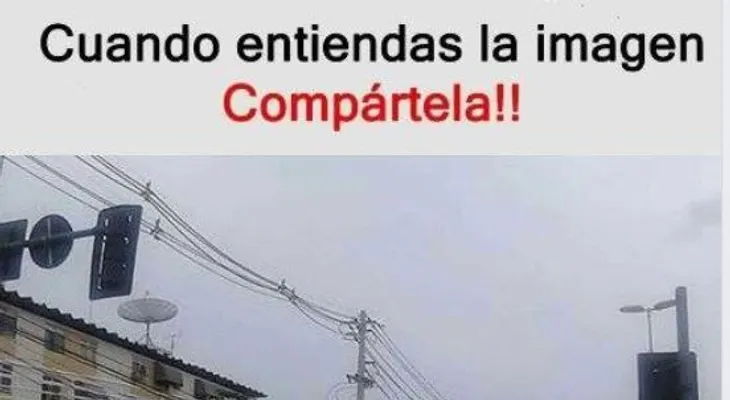 Quién es más inteligente; observa las imágenes