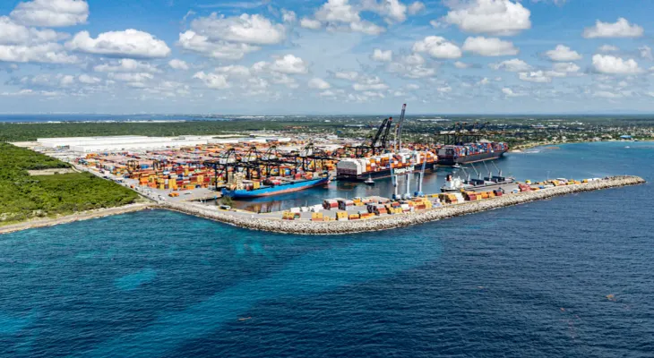Manglares de Boca Chica alcanzan 86 % de supervivencia en su primer año