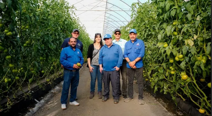 RD comparte con Chile su experiencia en agricultura protegida