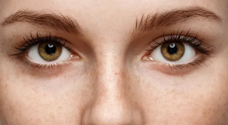 Identifican un gen crucial para que se desarrollen la retina y la visión