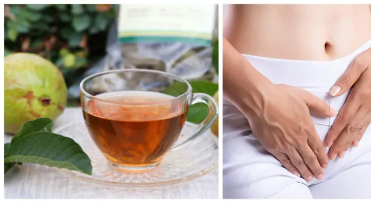 Descubre los beneficios de la hoja de guayaba para el lavado íntimo: propiedades antibacterianas y antiinflamatorias