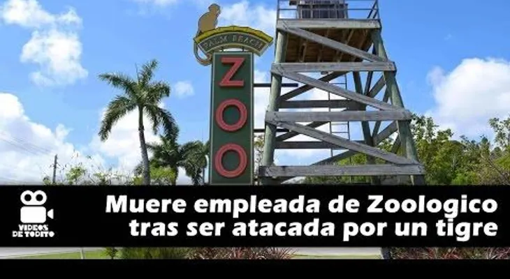 Tigre mata a cuidadora en el zoológico de Florida (VIDEO)