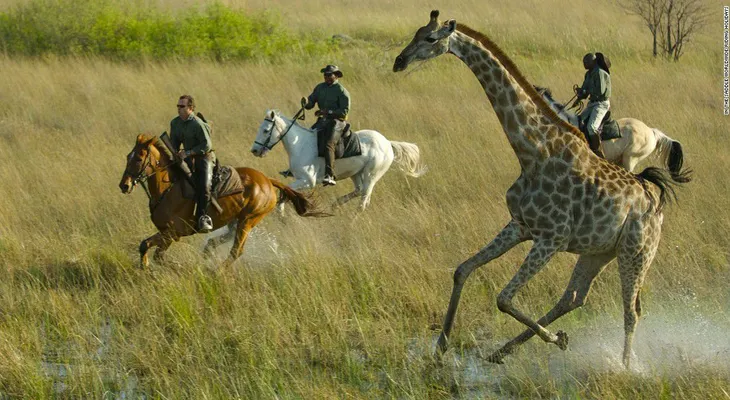 Las joyas de los trotamundos: las mejores aventuras a caballo en el mundo