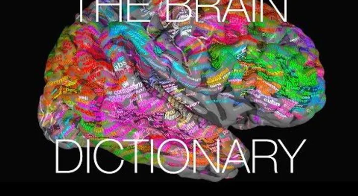 Crean un atlas semántica del cerebro que puede leer la mente (VIDEO)