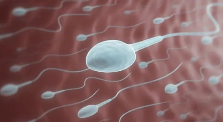 7 datos que debes conocer sobre el semen