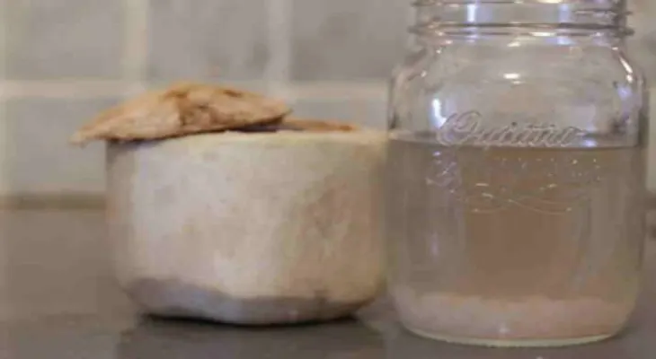 Agua de coco fermentada: previene el cáncer y cura el intestino