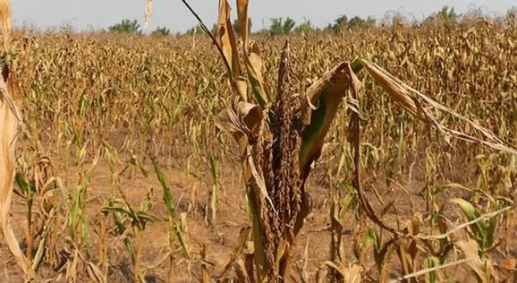 Alertan que época de huracanes agrava crisis alimentaria, aumenta el dengue y chikungunya