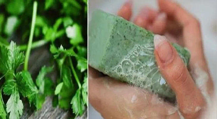 Jabón de perejil para quitar manchas del rostro: Fácil de preparar