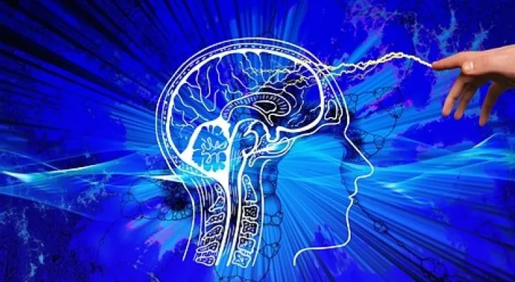 Cerebro de mujer es 3 años más joven que la del hombre