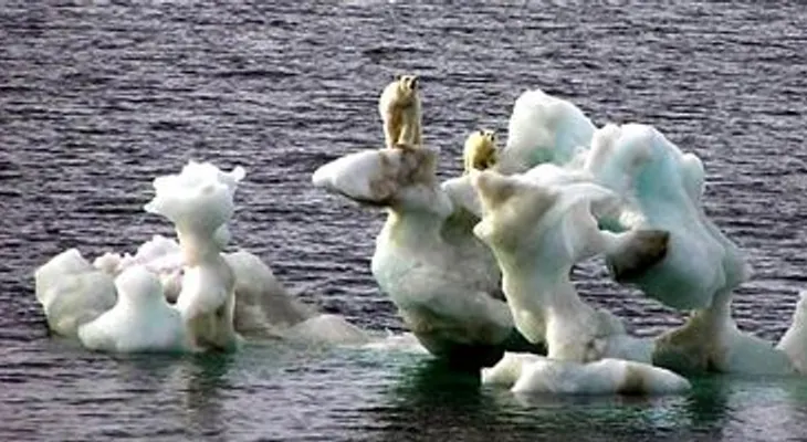 Los hombres desaparecerían del mundo por el cambio climático 