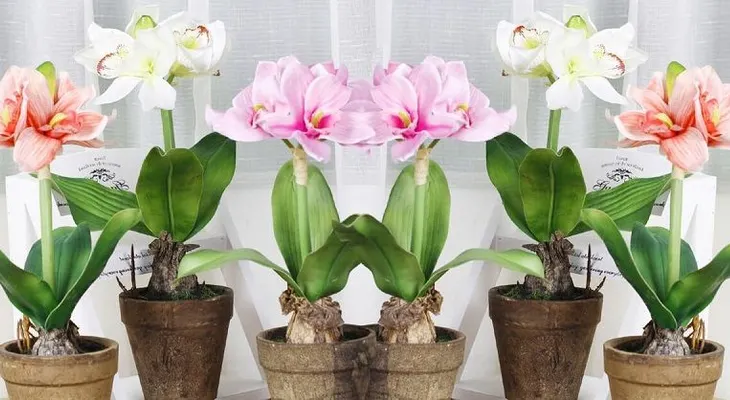 Ella le añadió un ingrediente secreto a su maceta de flores. ¡Así nació un milagro!