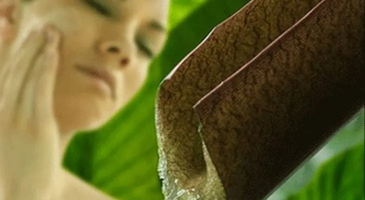 Manchas en la piel, remedios caseros y naturales para quitarlas