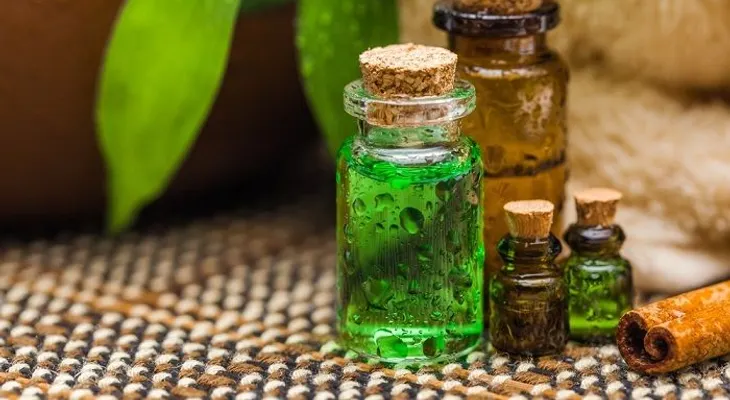 Aceite de árbol de té y todos sus beneficios