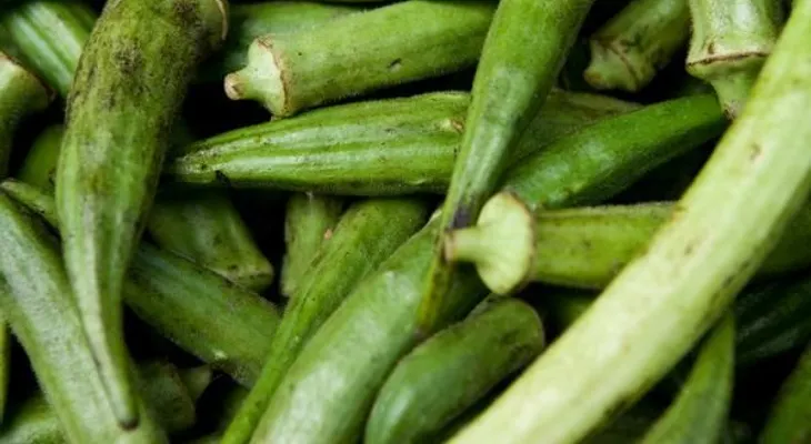 Agua de molondrón (okra) para tratar la diabetes tipo 2