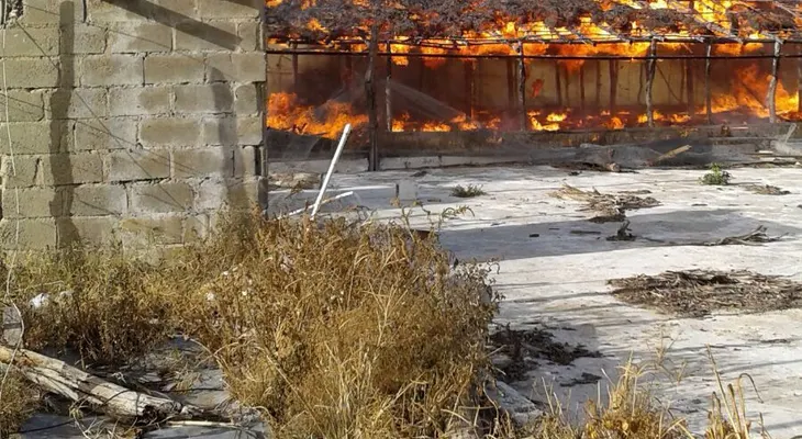 Incendio consume granja de pollos en Santiago Rodríguez
