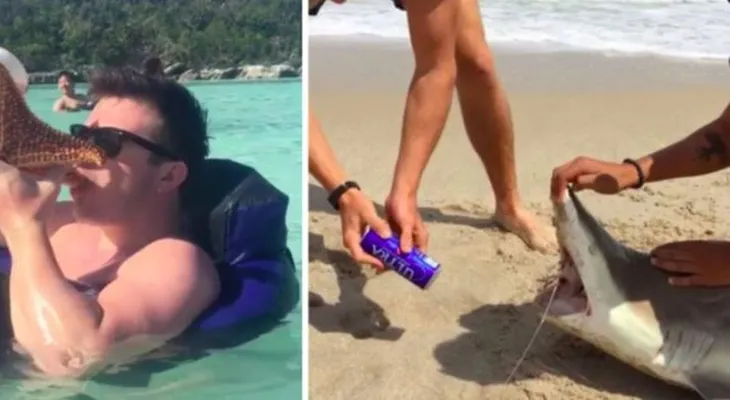 El maltrato animal de unos estudiantes ebrios durante el "spring break" que indignó a las redes sociales