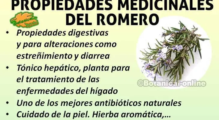 Los grandes beneficios para la salud que ocultan las farmacéuticas 