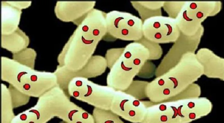 Los 10 beneficios de las bacterias para la salud