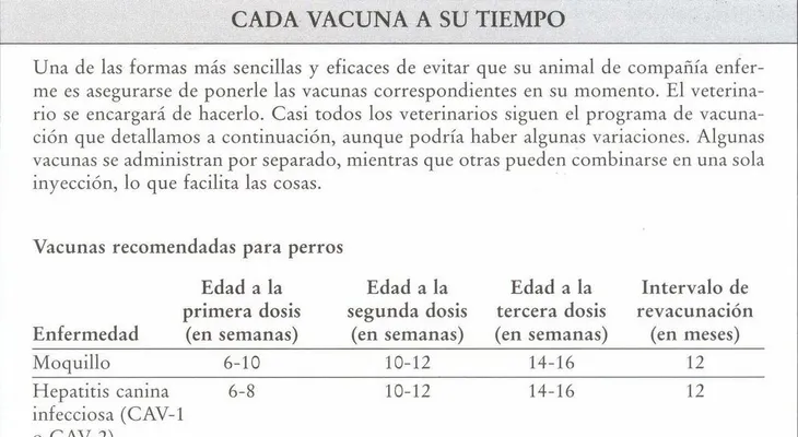 Un niño pequeño cree más lo que dice un adulto si este es amistoso