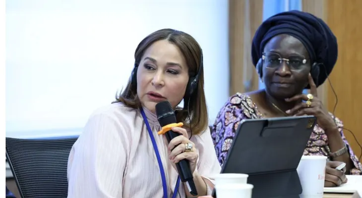 Supérate destaca estrategia de protección social en la ONU