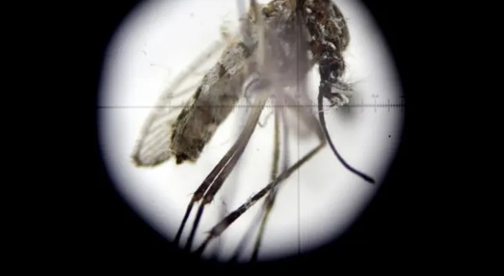  EE.UU. agrega a Perú a la lista de países con restricciones de viaje por el zika
