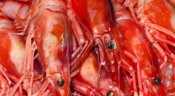 ¡Ojo con las gambas demasiado rojas!