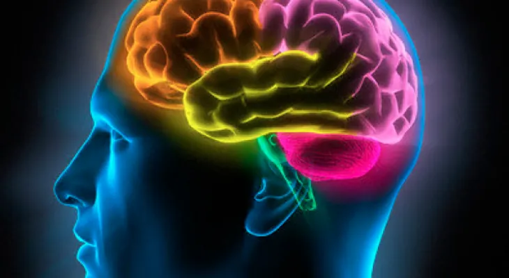 Identifican biomarcadores para detección precoz demencia tipo Alzheimer