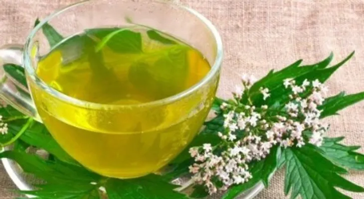 El té que baja la presión