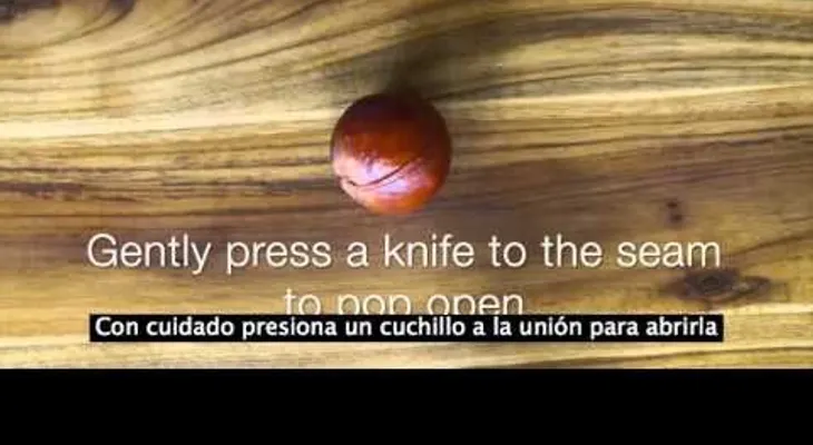 ¡No podrás creer los increíbles beneficios del cuesco del aguacate! (VIDEO)