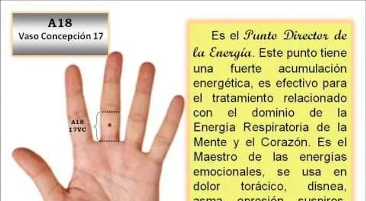 Los 8 puntos e Influencia en Mano Acupuntura Coreana.
