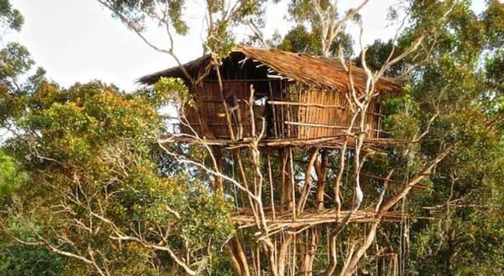 Los Korowai: una increíble tribu de ingenieros, que construye edificios en los árboles