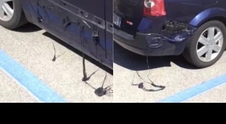 ¡Increíble! Vehículo se derrite en plena calle por las altas temperaturas