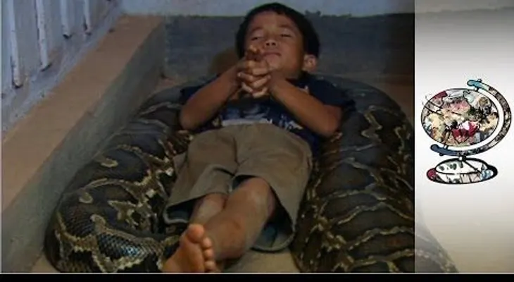 Este niño de 11 años tiene una amiga inusual: Una serpiente de 6 metros !!! (VIDEO)